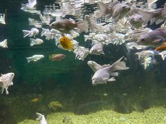 -常州海昌海洋探索馆