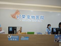 -阿荣24H宠物医院·综合型转诊中心·CT·核磁影像中心