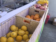 -Green Option(官舍店)