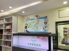 -天宠宠物医院24小时·急重症诊疗中心·全科·腔镜特色(和平分院)