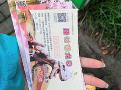 -自然谷恐龙园