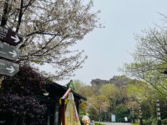 -淹城春秋乐园