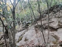 -燕子河大峡谷天坑仙境