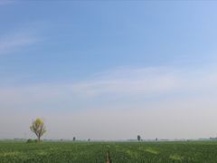 -白洋淀景区