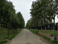 -永定河休闲森林公园