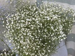-雪蔓之鲜花气球派对(家佳源时代中心店)