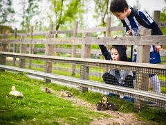 -前小桔亲子创意农场·草莓采摘·露营烧烤