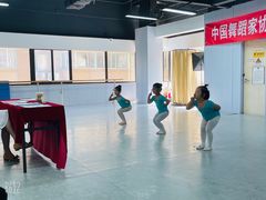-舞蕾舞蹈(特长生校区)
