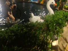 -三亚湾海居铂尔曼度假酒店