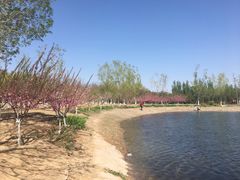 -永定河休闲森林公园