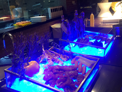 -常州新城希尔顿酒店·OPEN全日餐厅