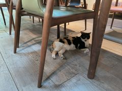 -梵几(东信·和创园店)