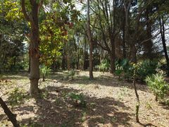 -上海中医药大学附属曙光医院(东部)