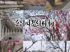 -禹州森林植物园