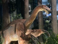 -陕西自然博物馆