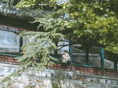 -颐和园