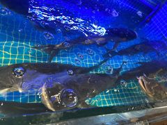 -姜君·千岛湖鱼头馆(浦东大道店)