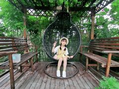 -樂桃源奉贤黄桃种植采摘基地
