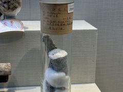-广东中医药博物馆