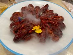 -杨氏青龙虾·羊蝎子(珠江路店)
