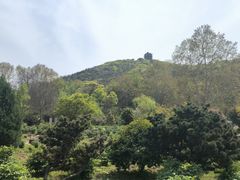 -采石矶景区