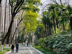 -采石矶景区