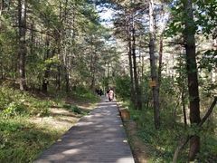 -帽儿山国家森林公园