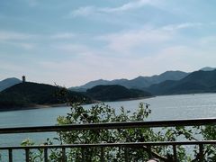-望湖烤鱼