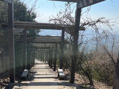 -缥缈峰景区