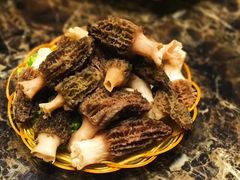 -菌海森林·非遗野生菌火锅(西山区滇池路摩根道店)