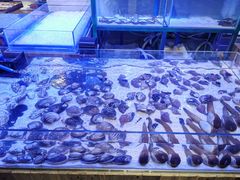 -十六蒲(桂林路店)