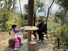 -上海佘山国家森林公园天马山园