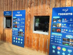 -怀托摩萤火虫洞