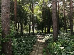 -黑龙江省森林植物园