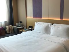 -麗枫酒店(广州区庄地铁站店)