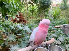 -南宫五洲植物乐园