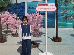 -芜湖新华联大白鲸海洋公园