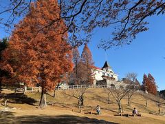 -神户市立六甲山牧场