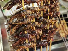 -小寒羊烧烤(凯瑞时代大厦店)