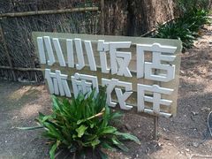 -小小饭店·休闲农庄·安吉松树林里的农家菜