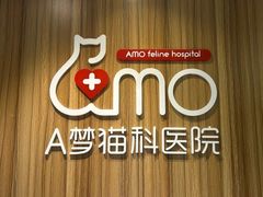 -御宝贝·A梦猫科宠物医院(国际猫友好医院)