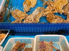 -四川小胡子海鲜(丁村万人海鲜广场店)