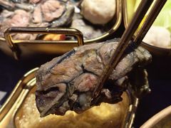 -Darling Queen·Mini·Live·House