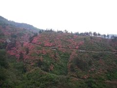 -木兰云雾山