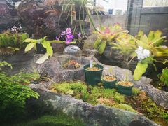 -国家植物园南园