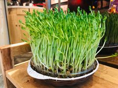 -好彩猪肚鸡(正弘城店)