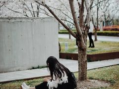 -龙美术馆西岸馆-停车场