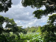 -江心屿景区
