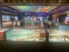 -尚海豆捞(乐虹坊店)