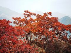 -周口店坡峰岭风景区